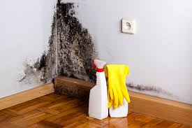 Best Mold Remediation for Healthcare Facilities  in North Charleroi, PA